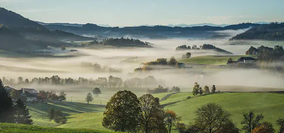 Professionnel heureux de son site web